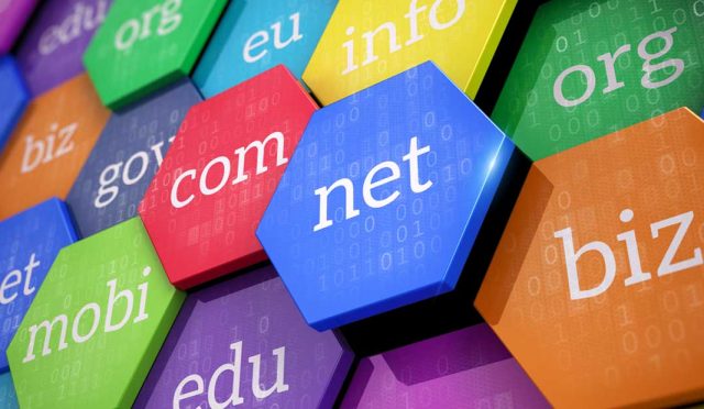 Domain Nedir?