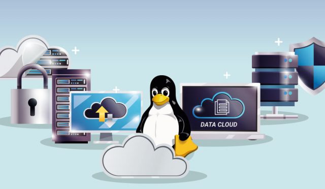 Linux Hosting Nedir?