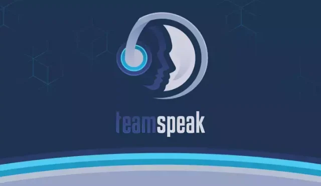 TeamSpeak Nedir?