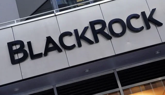 BlackRock Nedir?