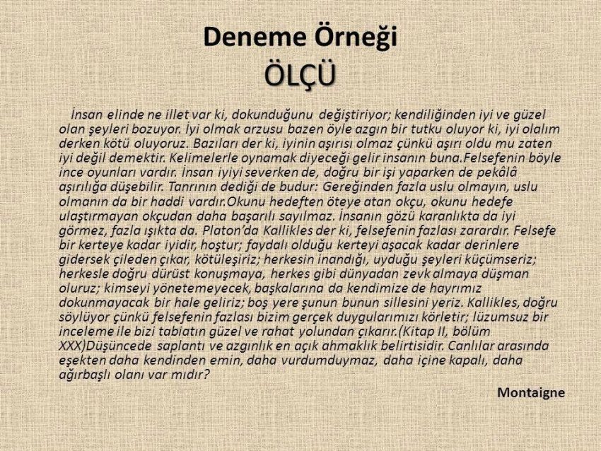 Deneme Yazısı Örnekleri: İlham Alabileceğiniz Farklı Türlerde Denemeler