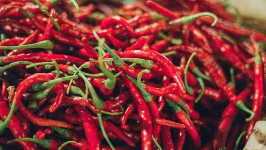 Scoville Nedir?